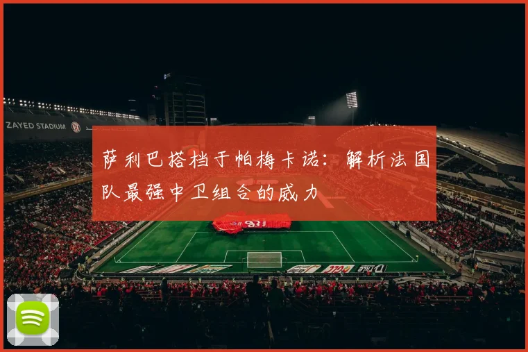萨利巴搭档于帕梅卡诺：解析法国队最强中卫组合的威力