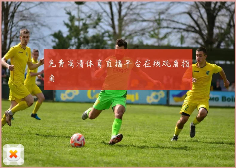免费高清体育直播平台在线观看指南